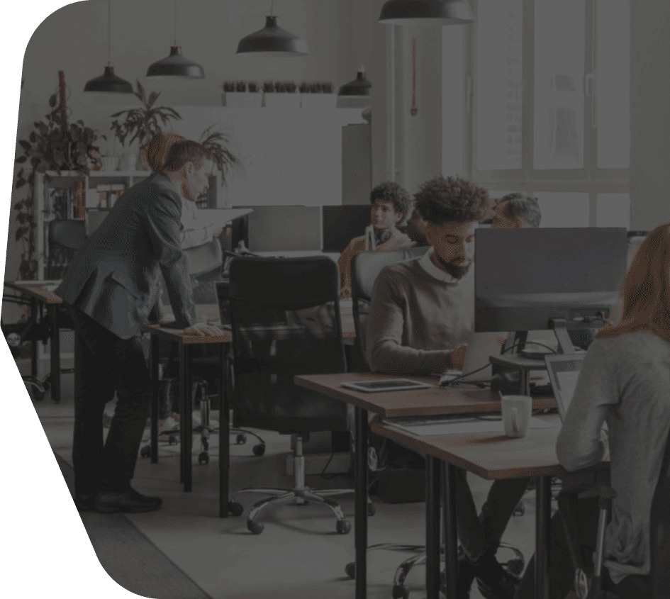 Web Design in USA, Custom Web Application in USA, WordPress Development in United States, WordPress Developer in Texas USA WordPress Development in United States Custom Web Development